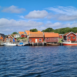 216543127_873712389886078_2558000011765241275_n