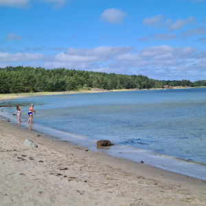 219761137_1261887027606686_836159763089343111_n